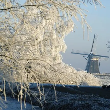 Vakantiehuis Aan De Rotte Bleiswijk